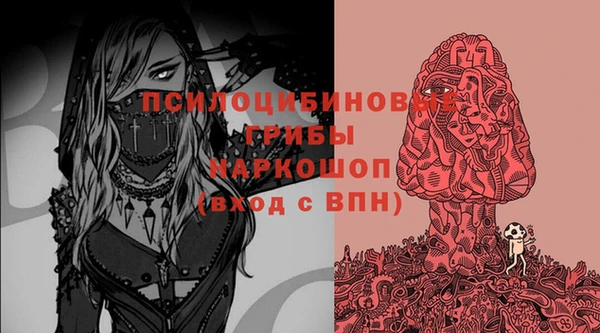молекула духа Заволжье