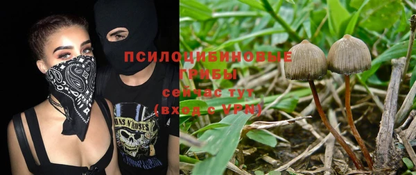 молекула духа Заволжье