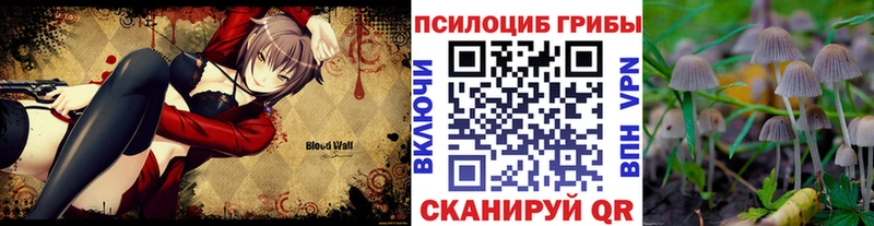 Галлюциногенные грибы прущие грибы  Купить  Дятьково 